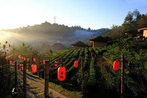 Mae Chaem Travel Tips Guide: Cultural Insights, Costs & Eco-Tours